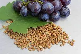 Grape Seed