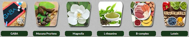 Understanding the Ingredients: