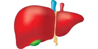 Liver Health Formula