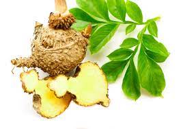 Stomach Problems Symptoms