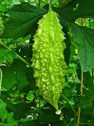 Okinawa Flat Belly Tonic – A Revolutionary Solution for Best Weight Loss!