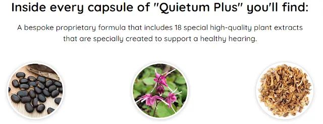 Quietum Plus: Elevating Ear Health to New Heights
