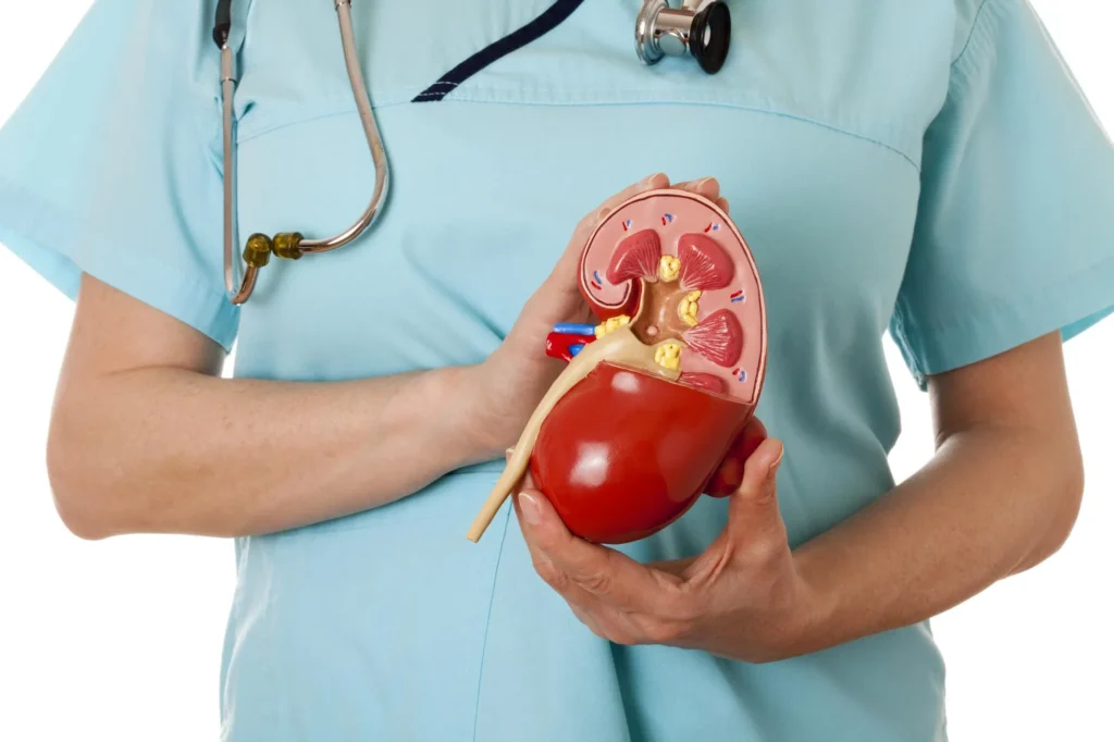 Kidney Health : Your Ultimate Guide to Nourishing and Revitalizing Your Body!