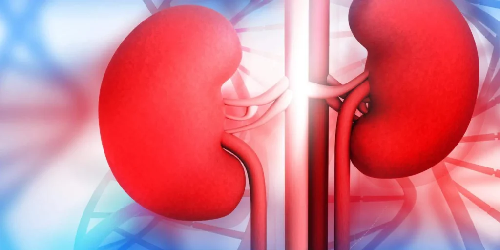 Kidney Health : Your Ultimate Guide to Nourishing and Revitalizing Your Body!