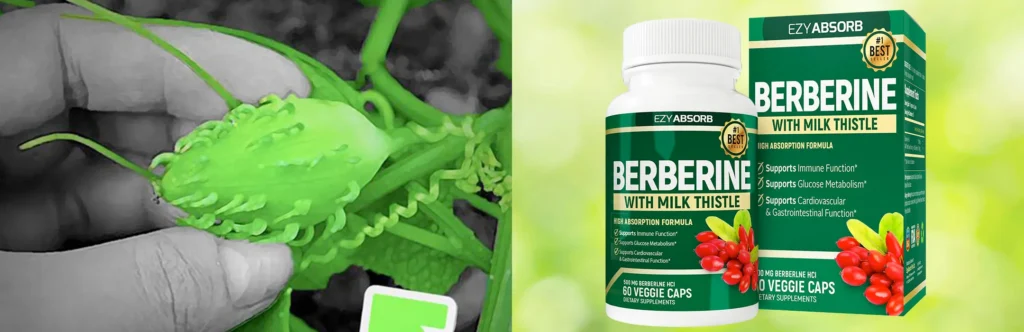 The Science Behind Berberine 1