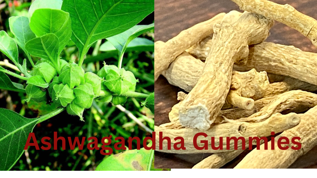 Ashwagandha Gummies: Your Ultimate 2024 Guide to Health and Wellness!