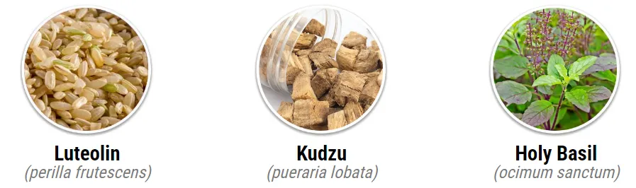 Discover the Power of Puravive: Your Simple Guide to Natural Weight Loss in 2024!