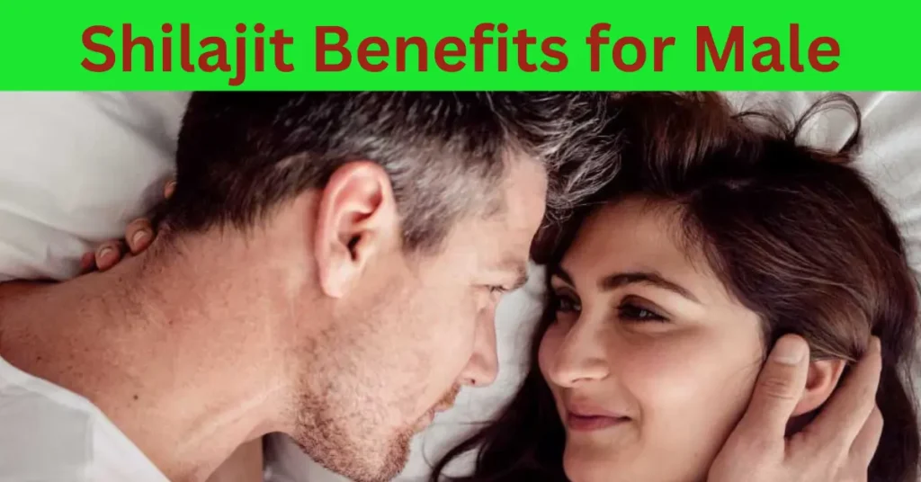 Shilajit Benefits for Female and Male in 2024: Exploring Nature's Wellness Secrets!