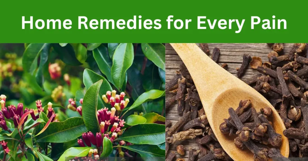 Home Remedies for Every Pain: Not every pain requires medication, try these  home remedies in 2024!   
