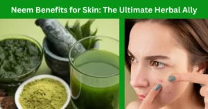 Neem Benefits: Unveiling the Green Guardian of Health and Beauty in 2024!