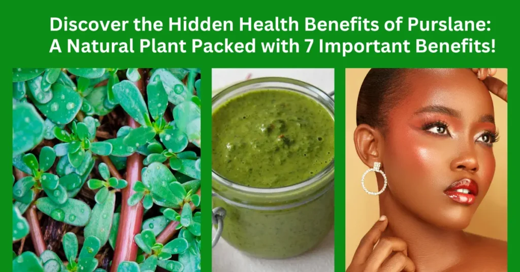 Discover the Hidden Health Benefits of Purslane: A Natural Plant Packed with 9 Important Benefits!