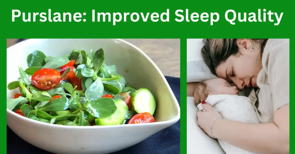 Discover the Hidden Health Benefits of Purslane: A Natural Plant Packed with 9 Important Benefits!