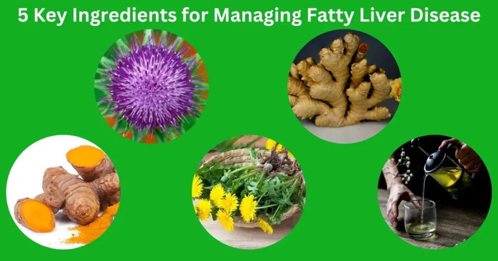 Liver Care Tea and 5 Key Ingredients for Managing Fatty Liver Disease!