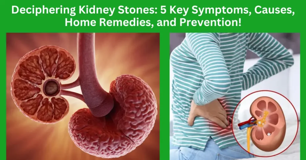 Deciphering Kidney Stones: 5 Key Symptoms, Causes, Home Remedies, and Prevention!