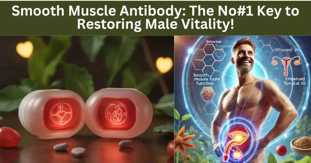 Smooth Muscle Antibody: The No#1 Key to Restoring Male Vitality!