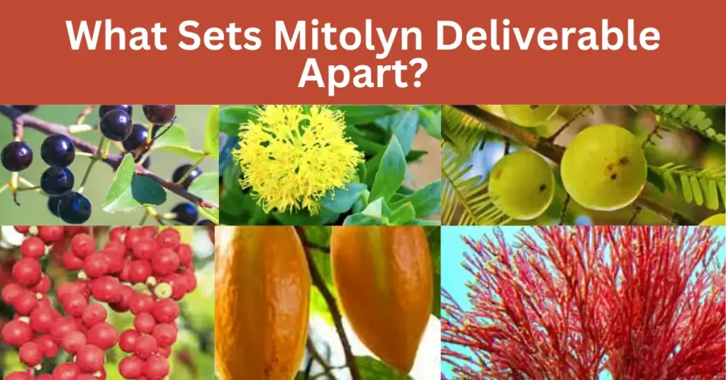 Mitolyn Deliverable: Burn 500% More Calories & Feel Great!